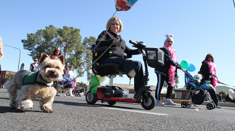 Ostrich Parade